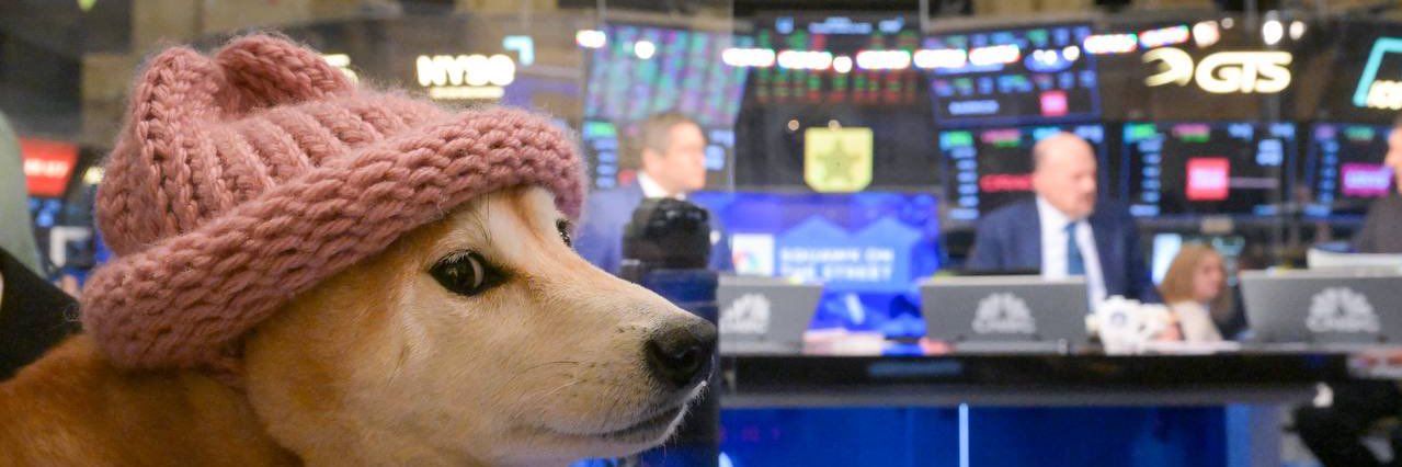 dogwifhat banner