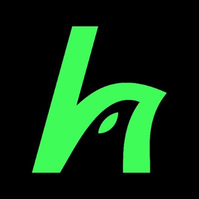 HawkFi logo