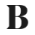 BOTTO